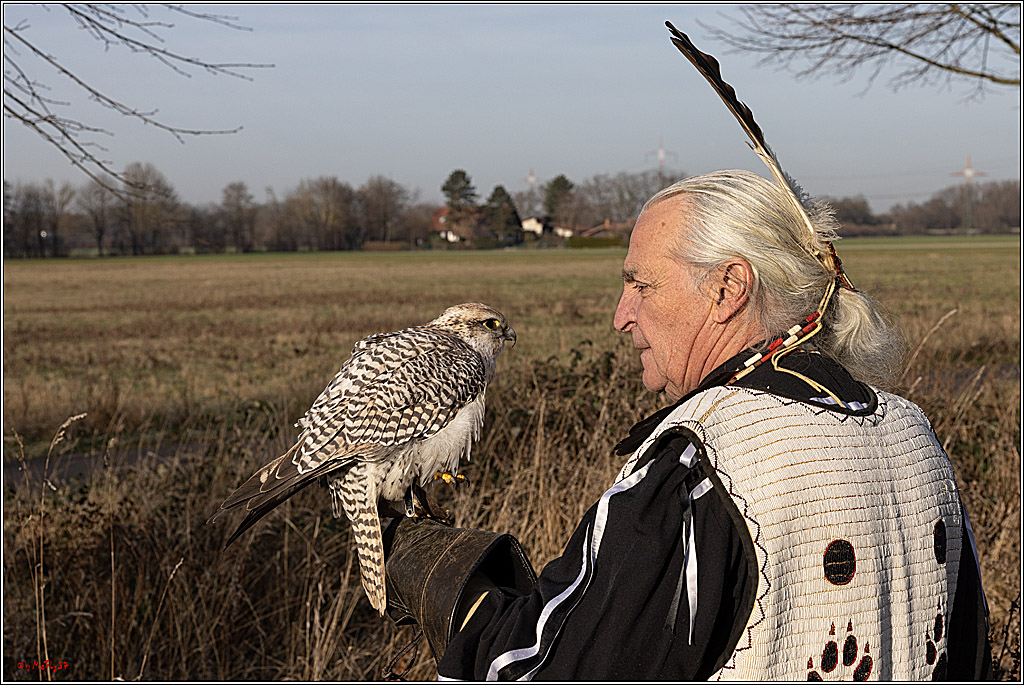 Cheyenne-Halbblut Hunting Wolf in der Falknerei Pierre Schmidt; Gymnich, 09.02.2023